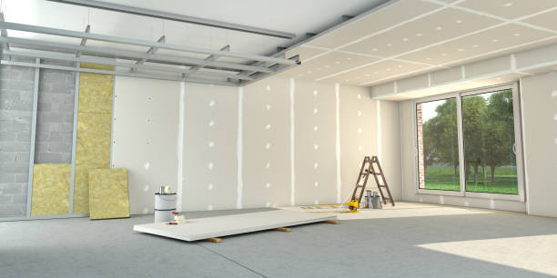 Best Insulation Maintenance and Repair in St Augusta, MN
