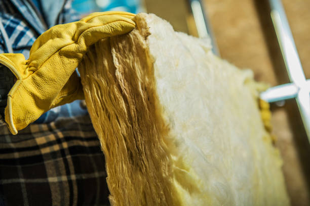 Best Specialty Insulation in St Augusta, MN