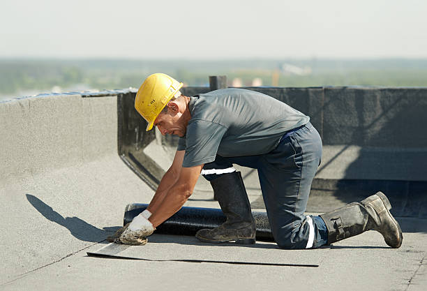 Best Commercial Insulation in St Augusta, MN