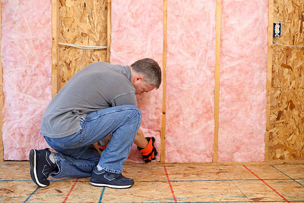 Best Residential Insulation in St Augusta, MN