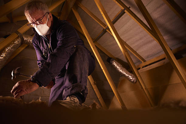 Best Residential Insulation in St Augusta, MN