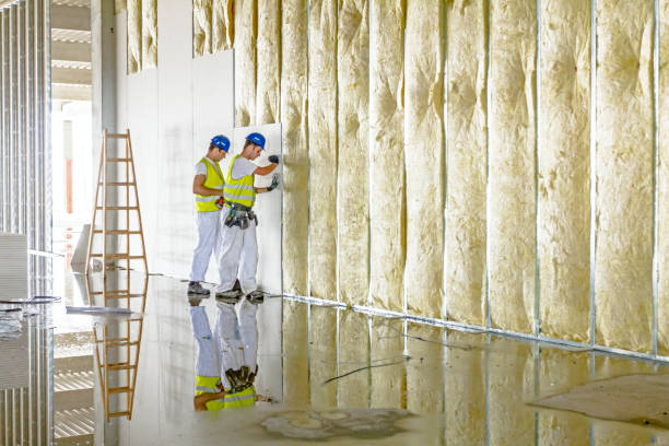 Best Insulation Materials and Products in St Augusta, MN